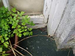 edencottages - 5190.JPG